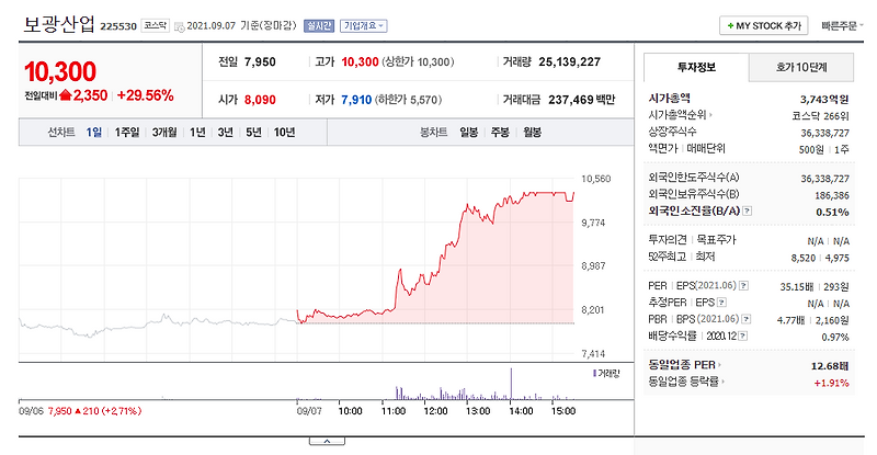 홍준표 관련주 보광산업  상한가 주가전망