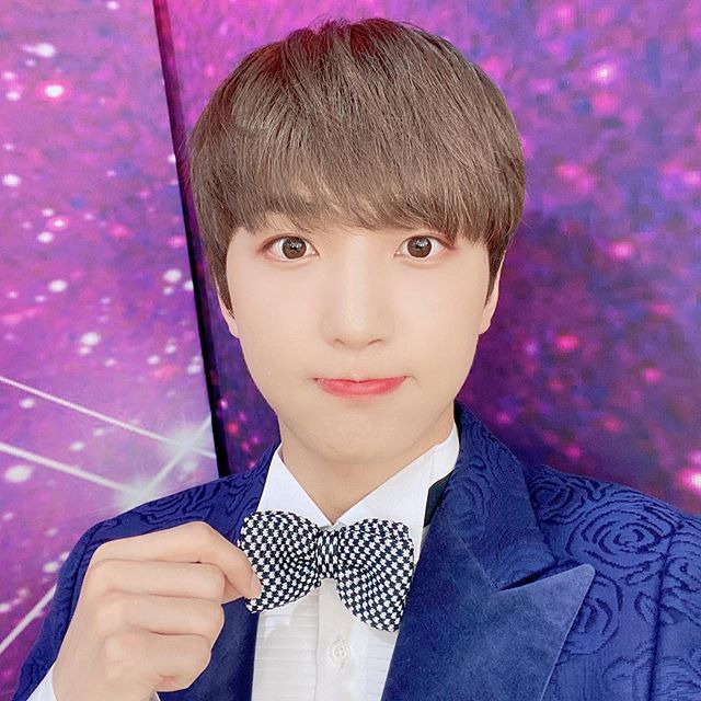 보이스 트롯 선율에 대한 모든 정보