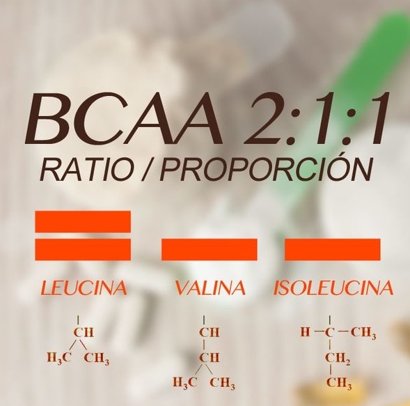 BCAA 효능, 단백질, 섭취방법, ccd차이, 부작용 한눈에 정리