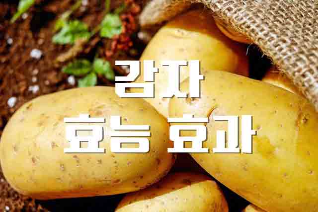 감자, 땅 속의 보물 감자의 놀라운 효능