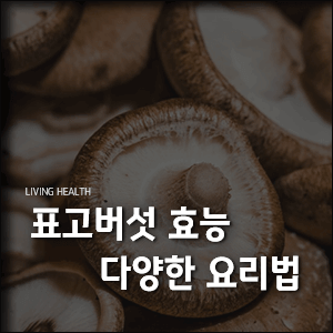 표고버섯 효능과 요리법