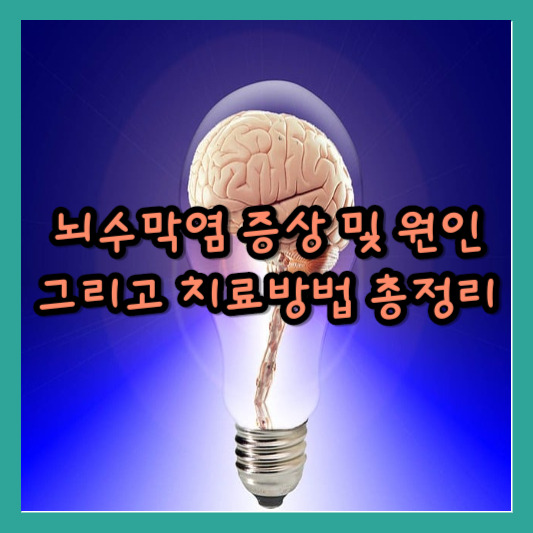 뇌수막염 증상 및 원인 그리고 치료방법 총정리