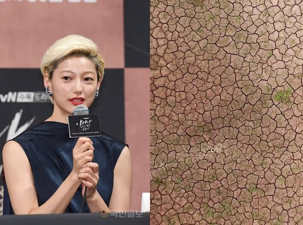 물 300t 흠뻑쇼 논란에 이엘 소양강에 뿌렸으면 배우 이엘이 콘서트 물을 가뭄 해소에 일부 사용했으면 좋겠다는 입장 공업용수 농민 단체들이 기우제 어차피 흘러내려가는 물?