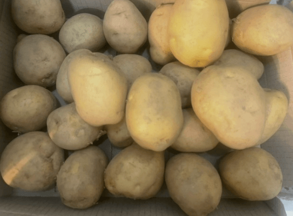 위 건강과 위암 예방에 좋은 '감자'의 효능과 부작용