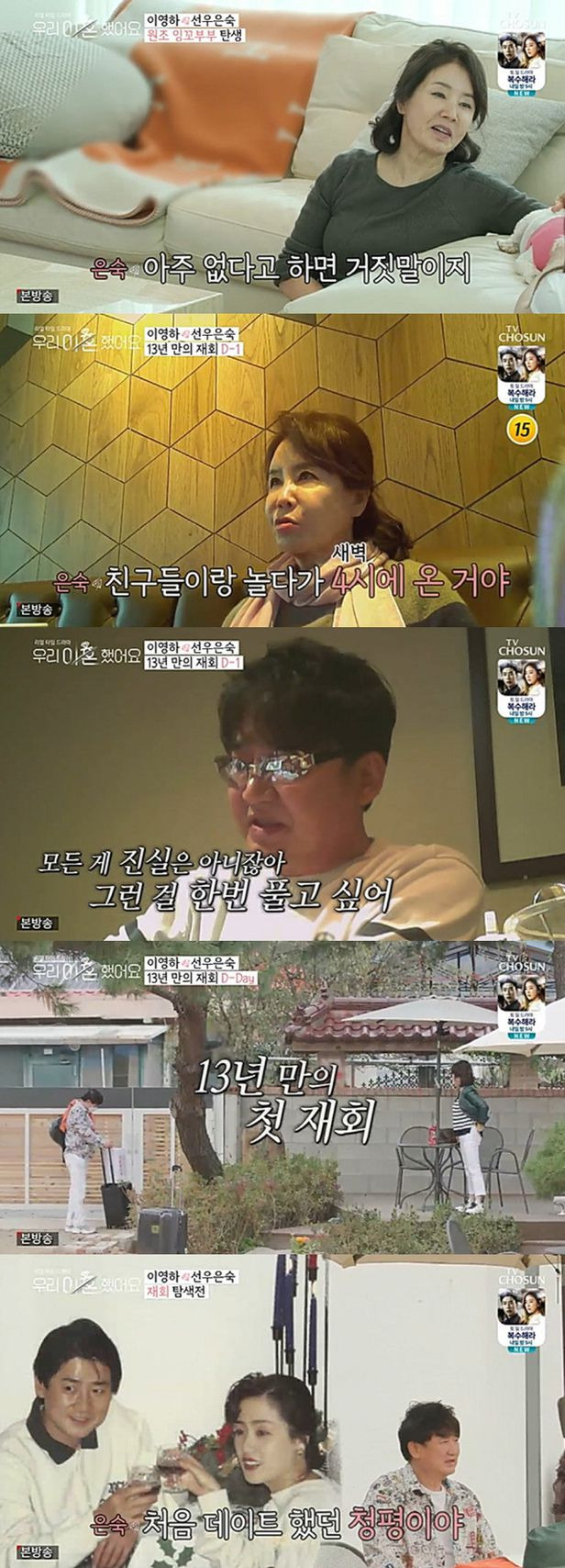 ‘우이혼’ 선우은숙·이영하→최고기·유깻잎, 쿨한 이혼 後 일상 속 숨은 상처