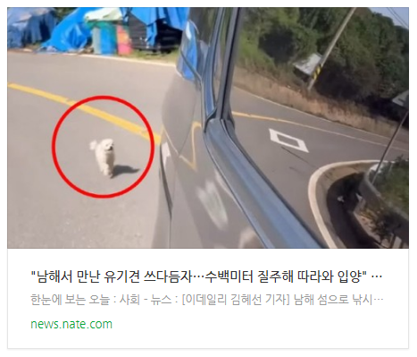 [뉴스] 