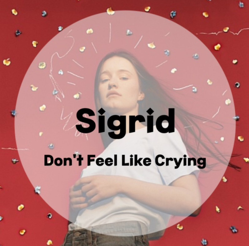 : Sigrid : Don't Feel Like Crying (가사/듣기/MV)