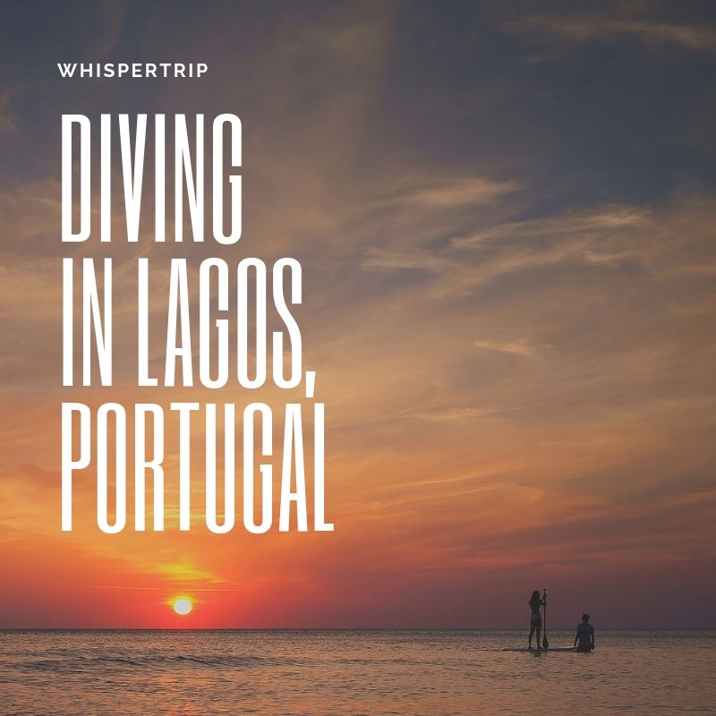 [포르투갈/라고스] 라고스 여행 및 라고스에서 다이빙 하기
