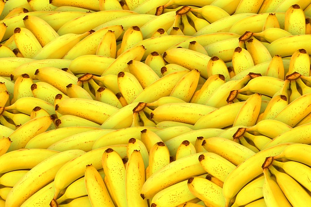 바나나 : 바나나 효능, 바나나 보관방법, 바나나 실온보관 온도, 바나나 부작용 등