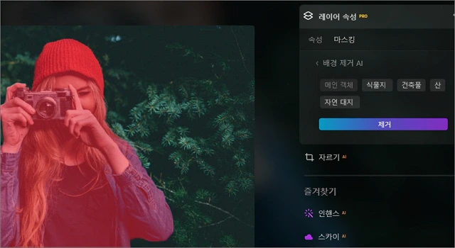 Luminar Neo 161 AI 배경 제거 및 레이어와 스카이 옵션 활용