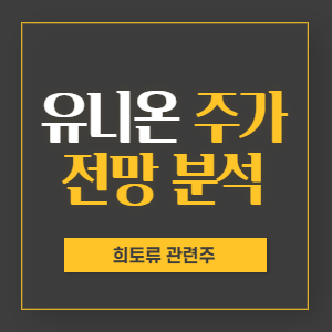유니온 주가 전망 분석 - 희토류 관련주 (feat. 유니온머티리얼)