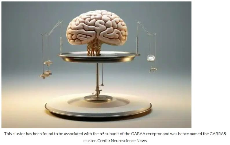 [비만 희소식] 뇌의 체중 조절 스위치 발견...굶지 않고 살 뺄 수 있는 날이 올까 Brain’s Weight Switch Found: Eat What You Want, Lose Weight With New Treatment