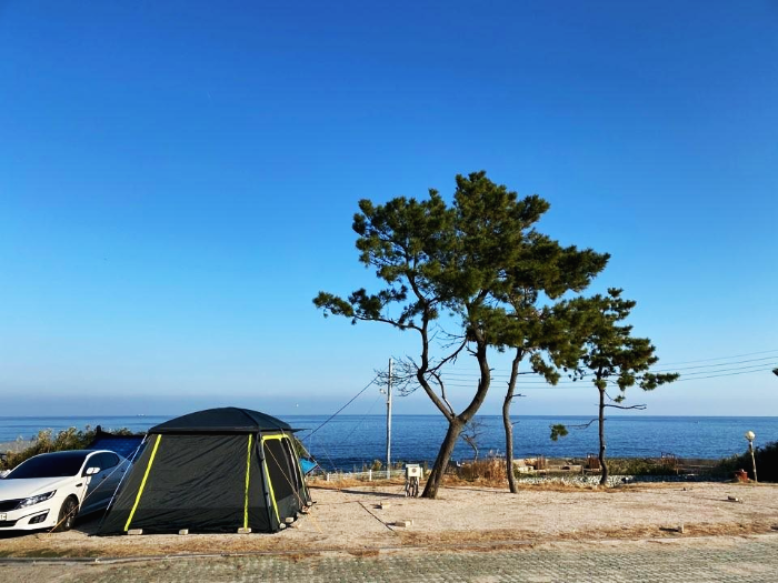 <부산근교/포항 캠핑장> 바다 바라보며 하는 캠핑 '백경 오토캠핑장'