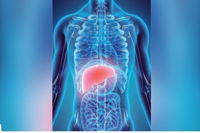 간의 불사조와 같은 자기 치유 능력 그리고 향상시키는 법 The Liver's Phoenix-Like Powers of Self-Healing and How You Can Help It