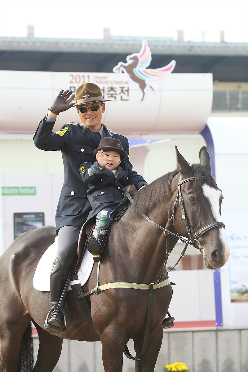 천고마비의 계절 10월 제주도 가을여행! 제주도 말(馬)축제 풍성!