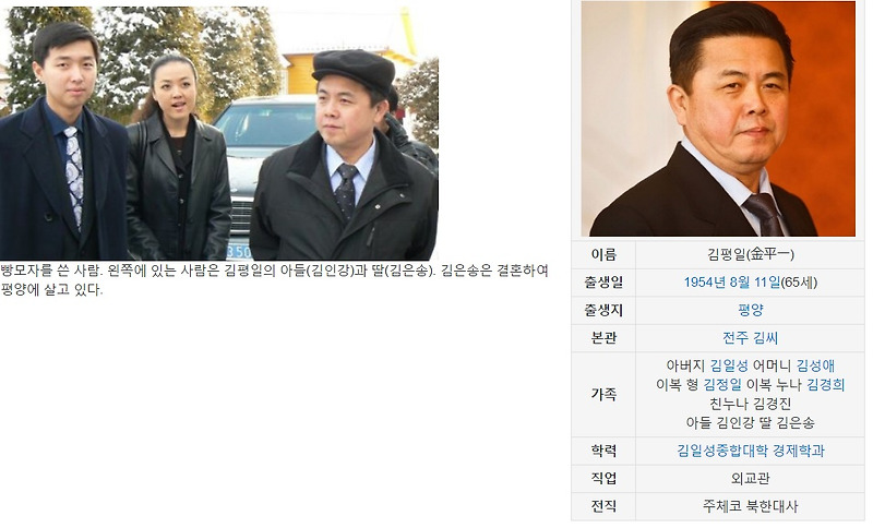 김정은 사망설 후계자 백두혈통 김평일은 누구인가?
