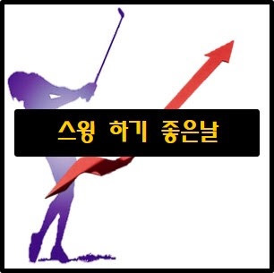 스윙하기좋은날 남영비비안, 대화제약