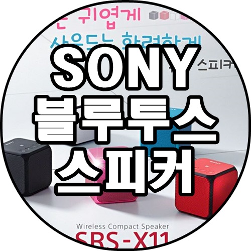 [쿠팡추천상품]SONY 블루투스 스피커 SRS-X11