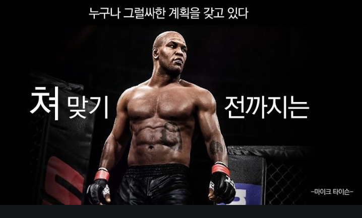 마이크 타이슨 명언 ; 누구가 그럴사한 계획을 갖고 있다. 쳐 맞기 전까지는 (지금 시장을 대하는 나의 태도에 반성하며)