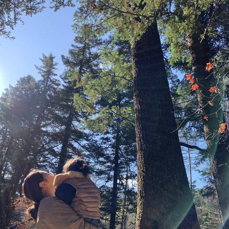 오대산 월정사 전나무숲 다람쥐들의 천국
