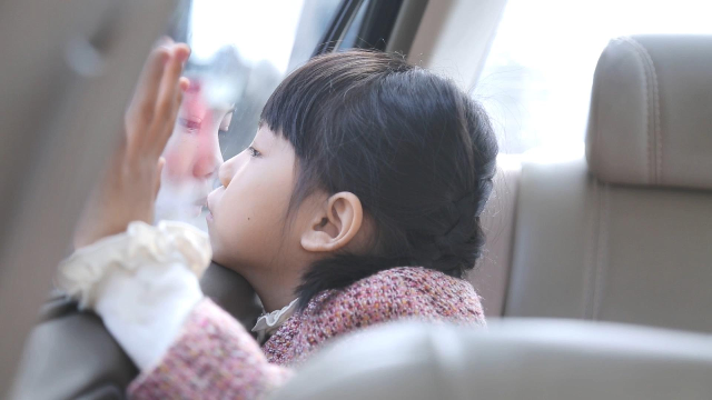 영화 리뷰 ＜내 집은 어디에＞ 마음의 안식처를 찾다
