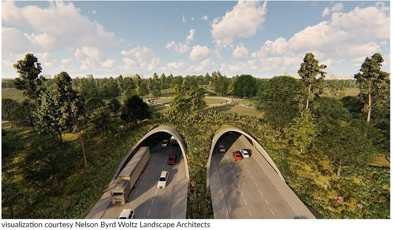 올 12월 개장 휴스턴 야생 휴양 공원 메모리얼 파크 VIDEO: Houston is cloaking a six-lane highway in a 'land bridge' prairie for wildlife