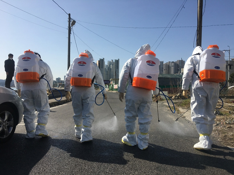 대구 확진자 2명 추가사망 한국 코로나 사망자 총 16명