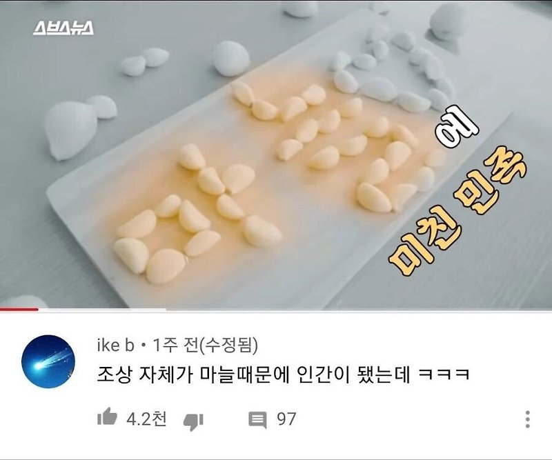 한국인이 마늘에 미친 이유