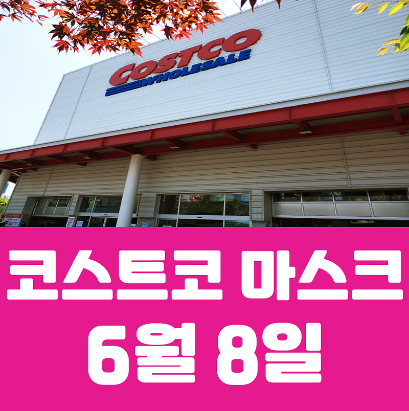 긴급!! 6월 8일 광명 코스트코 마스크 판매!! 크리넥스 스타일 마스크 7천개!! 달리세요!
