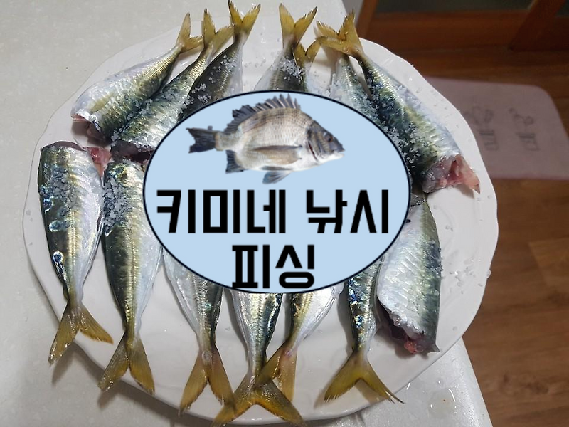 창원, 부산 근교 전갱이, 고등어 낚시 - 가덕도 세바지, 새바지 방파제