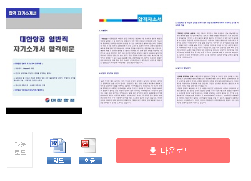 대한항공 (일반직/일반관리) 자기소개서 합격샘플 + 면접후기 [대한항공 채용 자소서, 대한항공 공채취업 지원동기]