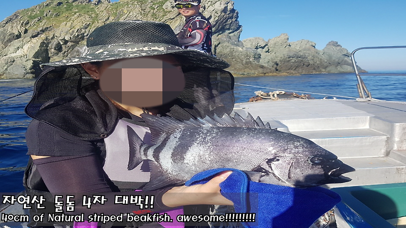 고양이 자연식#10 돌돔회 , 고양이 간식, 홍도 선상 부시리 낚시(고양이 생선)