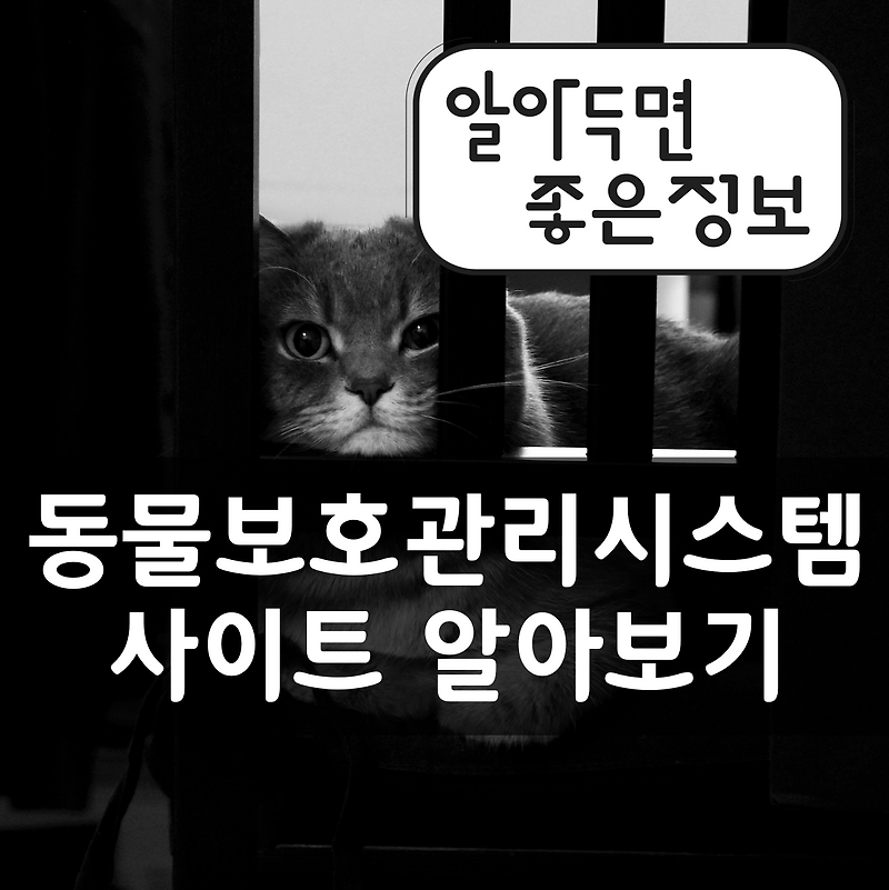 동물보호관리시스템 사이트 알아보기