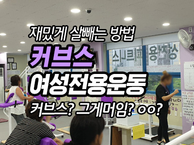 재밌게 살빼는 방법:) 커브스 30분 순환운동 / 의정부 낙양클럽
