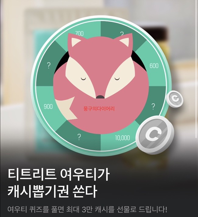 여우티 생일 이벤트 카카오페이지 정답