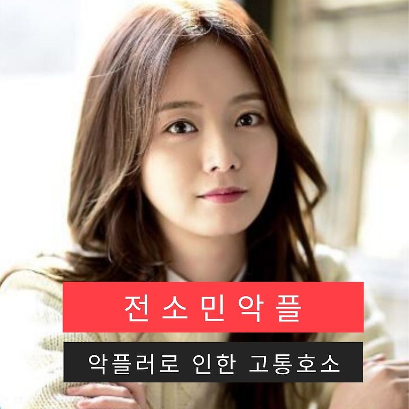 전소민 악플러로 인한 고통 호소 동생 전욱민 SNS메시지 캡처공개