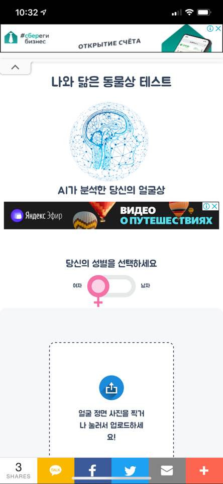 핫한 테스트! 나와 닮은 동물상 테스트하기!!나는 어떤 동물상인가?!!