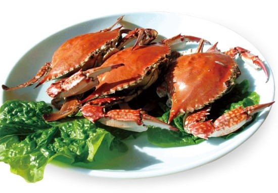꽁치, 꽃게, 낙지, 날치알, 다시마 상태 확인과 좋은식품 고르는법