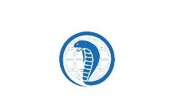 인터넷에서 검색만 해도 돈 벌 수 있는 어플 코브라 브라우저