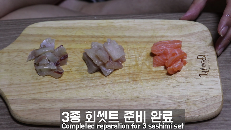 고양이 실험 # 3 - 연어회  vs 부시리회 vs 전갱이회  / 고양이가 회맛을 알까요?