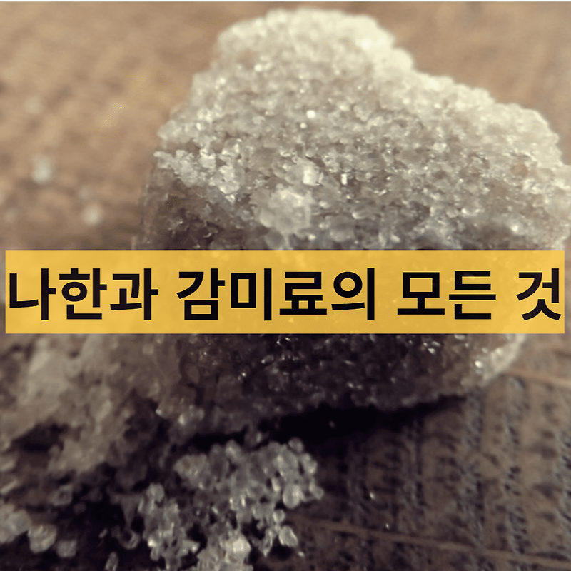 설탕 대체제 나한과 감미료의 모든 것