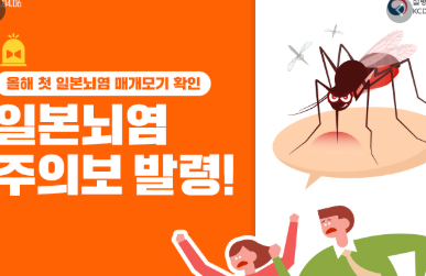 코로나19->한타바이러스->일본뇌염주의보까지