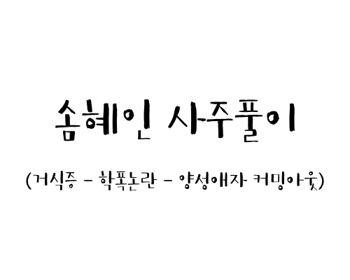 솜혜인 사주풀이 (거식증 - 학폭논란 - 양성애자 커밍아웃)