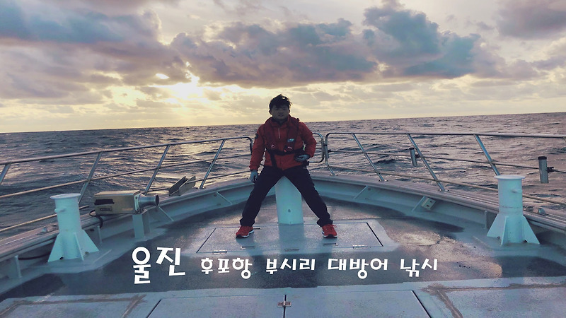 첫 바다낚시! 울진 후포항 부시리 방어 대구 낚시!