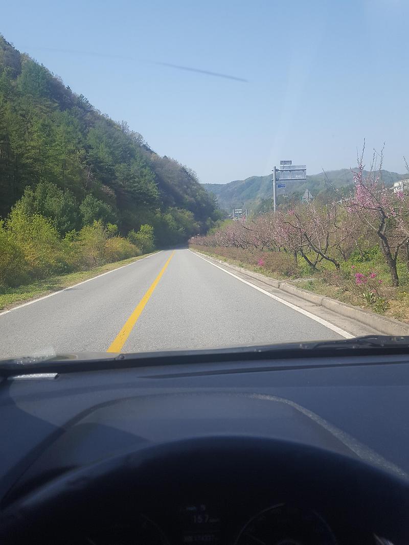 고사리 효능 / 부작용