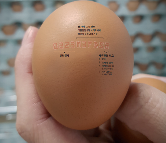 달걀 산란일자 표시 확인 방법 안내 계란껍질 생산농가확인방법