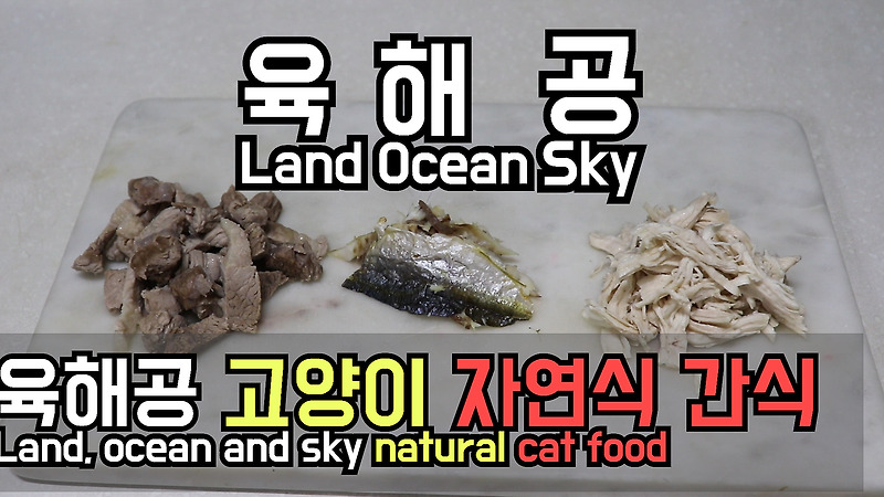 고양이 자연식 #13 - 육해공(돼지 앞다리살 수육, 전갱이 튀김, 닭가슴살 찜) 고양이 간식