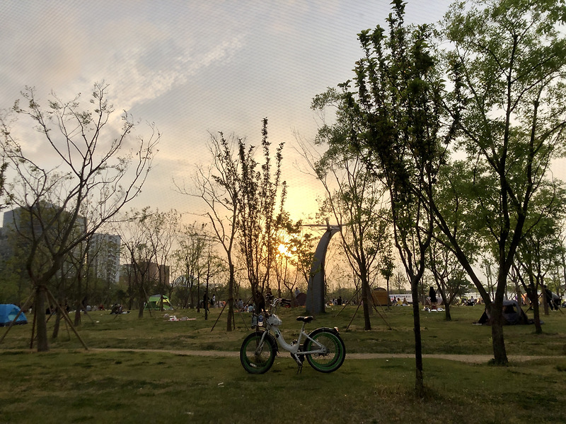 여의도 한강공원 여름캥핑장 텐트 나들이 소풍 (+한강공원 라면과 맥주)