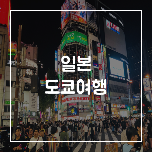 일본 도쿄 여행 긴자, 시부야, 신주쿠 (2019.08.01)