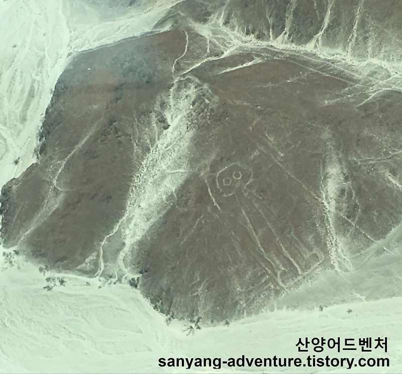 남미 페루 여행 - 나스카 라인(Nazca Line) 경비행기 투어